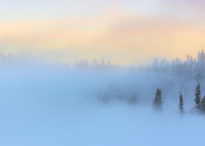 Winter in Gulmarg