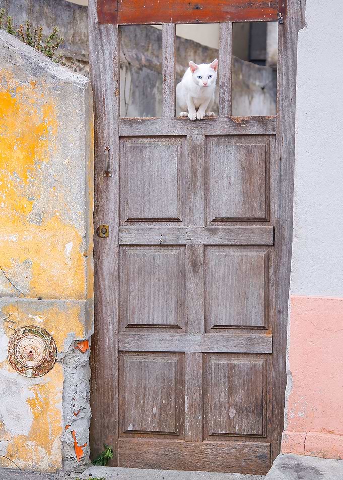 Doors of Europe