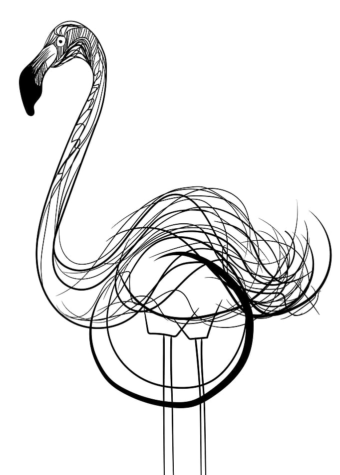 Flamingo