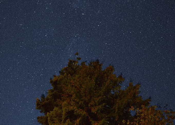 Stardust