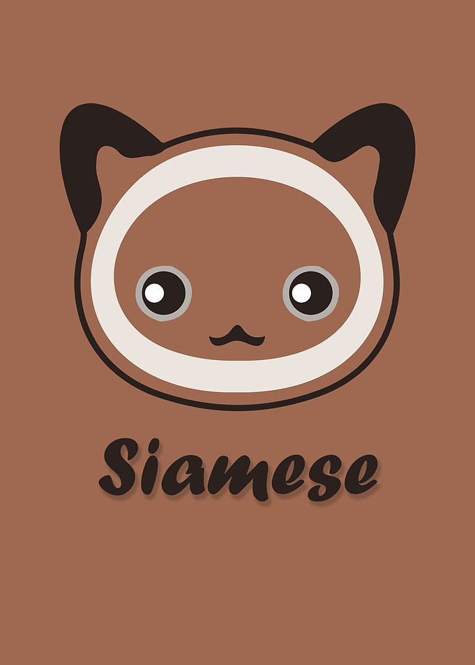 Siamese Cat