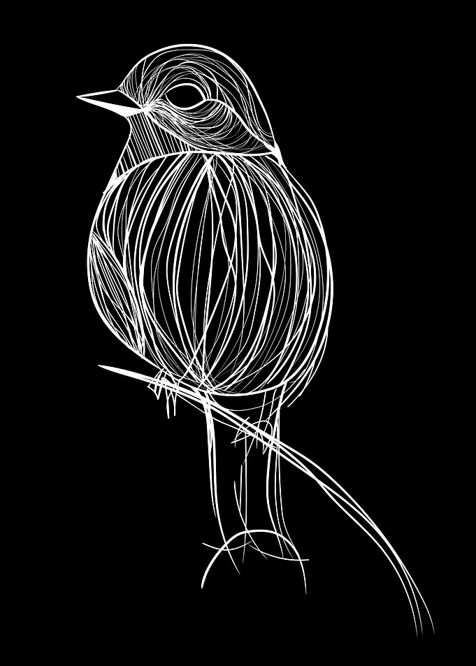 Tree bird