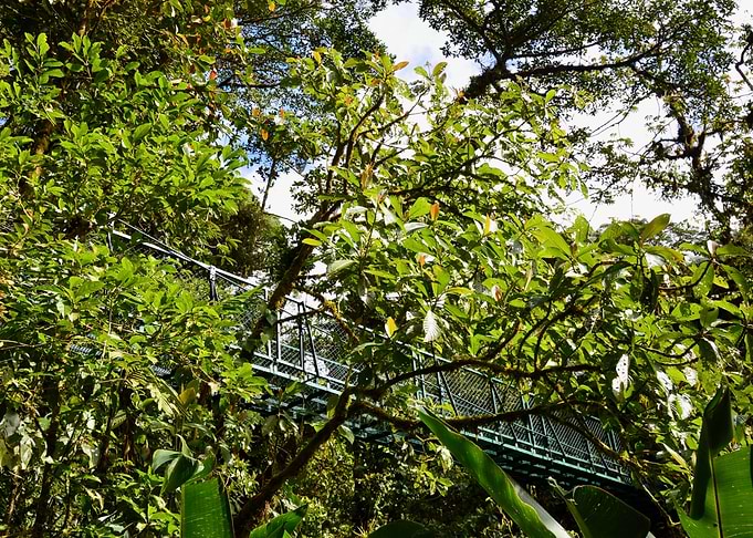 Hanging Bridge