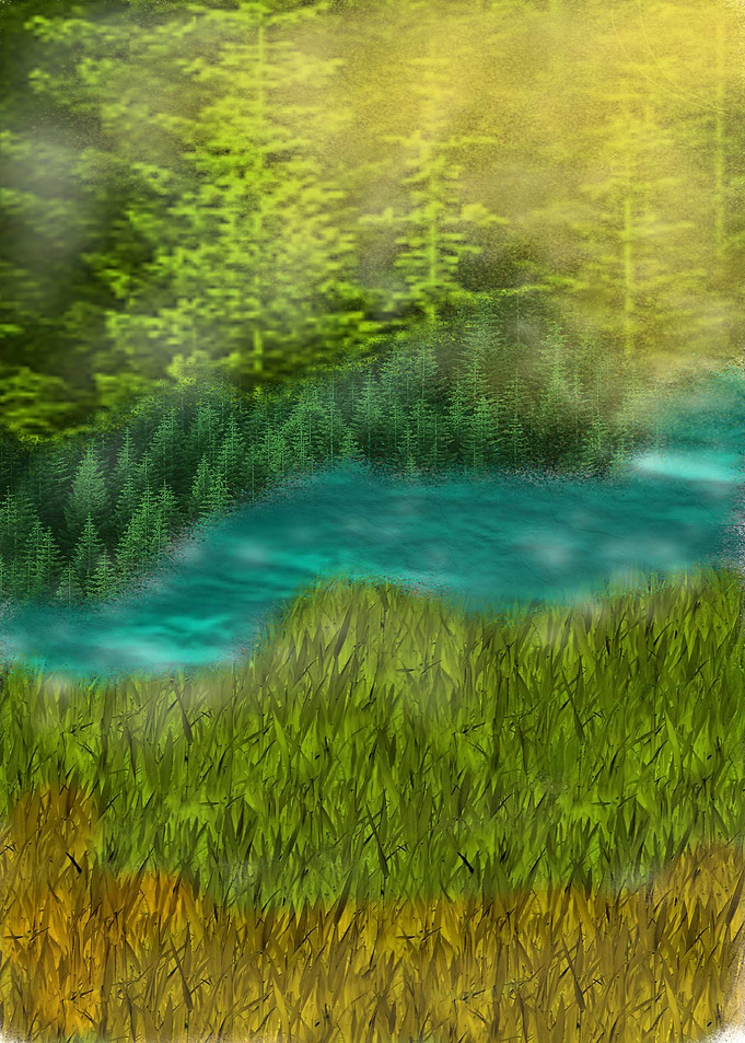 Forest Dawn