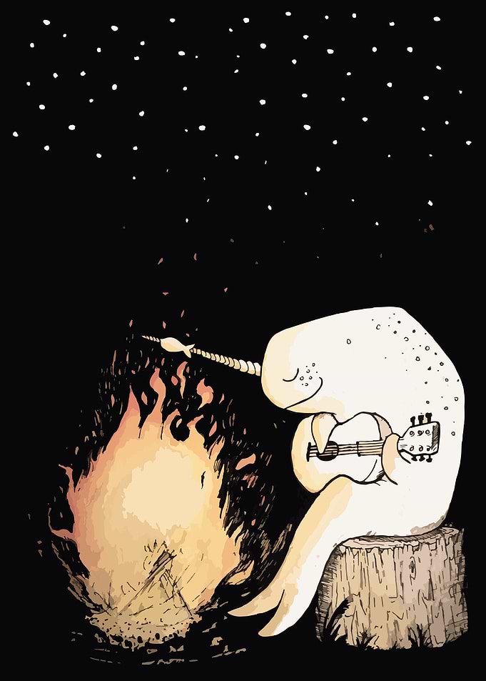 Camping Narwhal