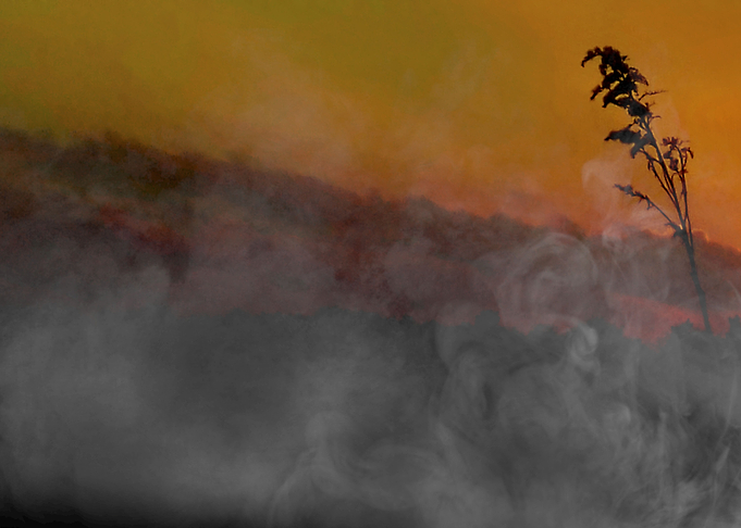 The early night fog