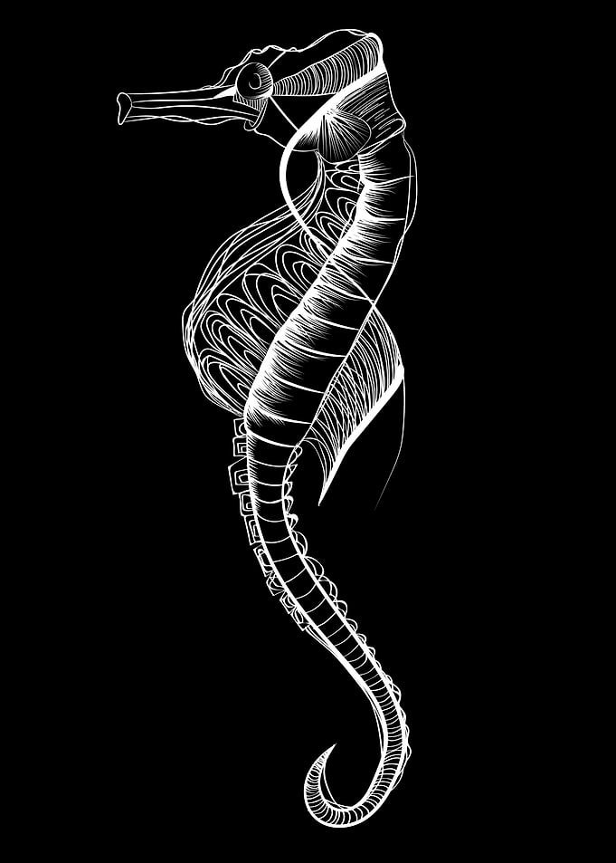 Seahorse