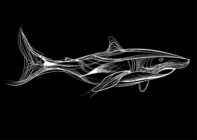 Shark lines