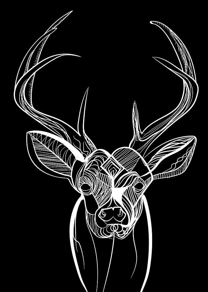 Deer sketck