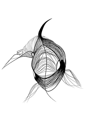 Killer whale