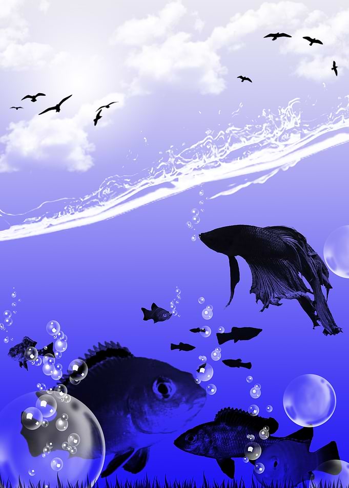 Underwater