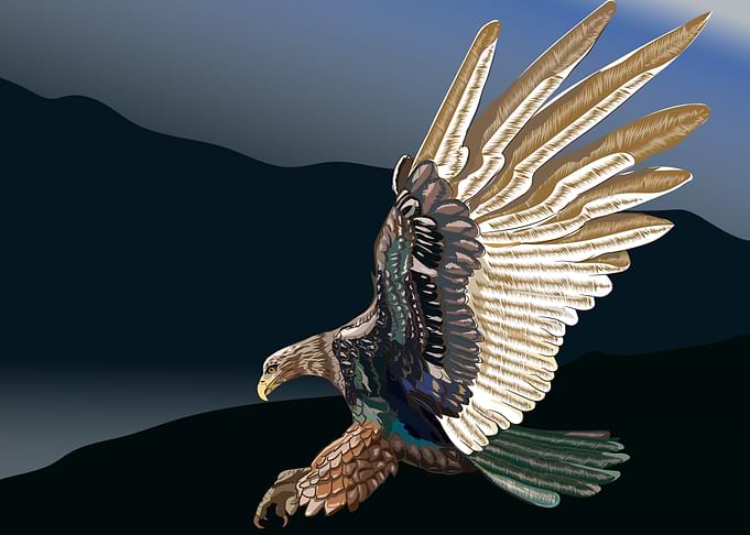 Eagle