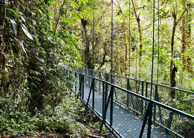 Hanging Bridges