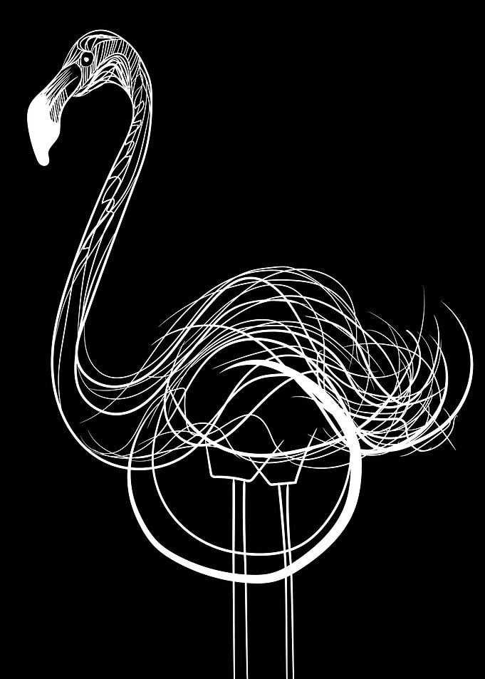 Flamingo