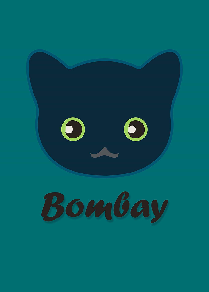 Bombay Cat