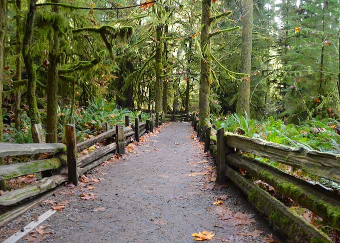 Walk Into Nature