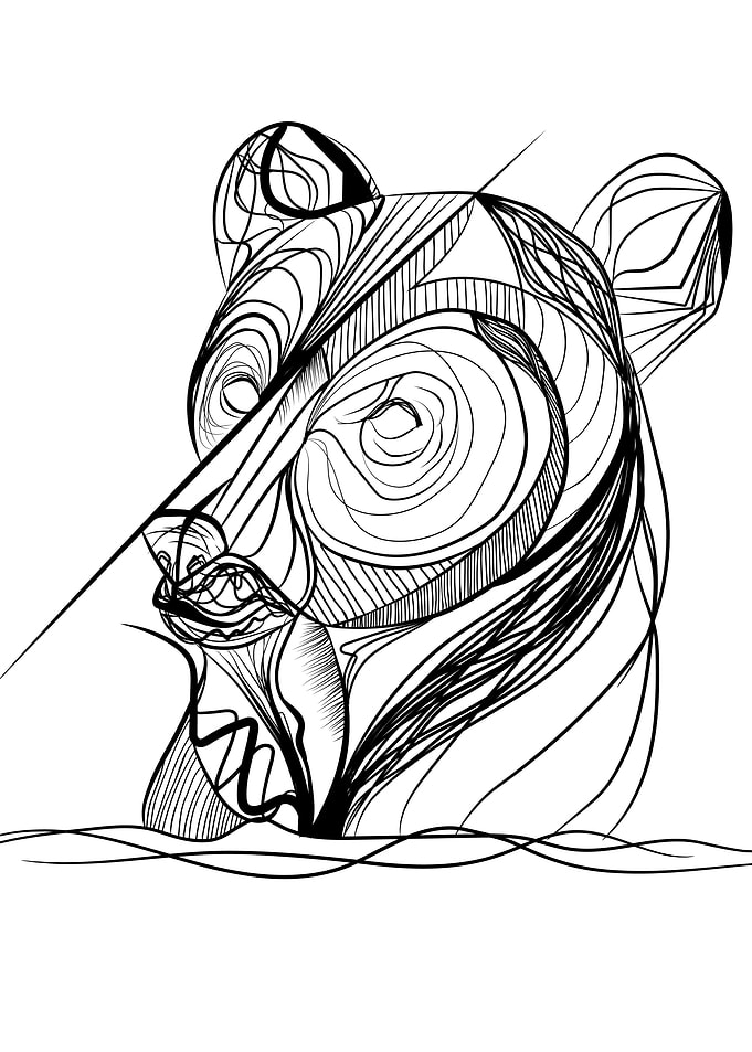Bear