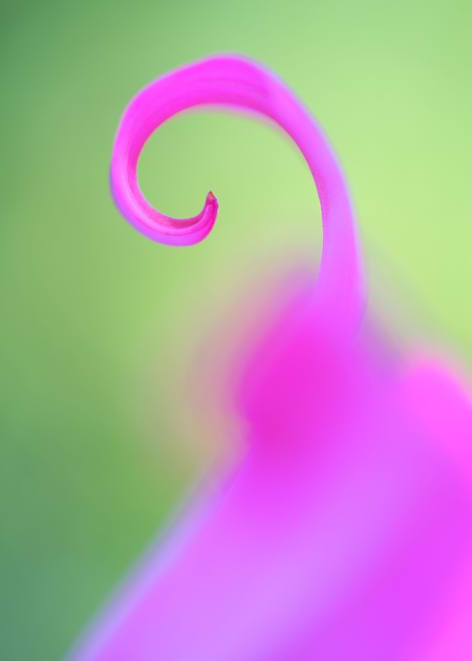 Flora Fauna