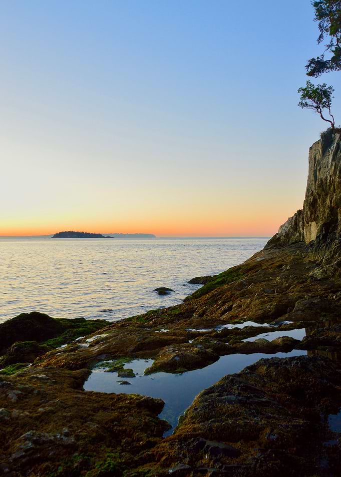 Tide Pools