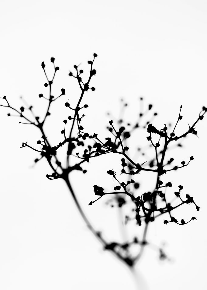 Natural abstract