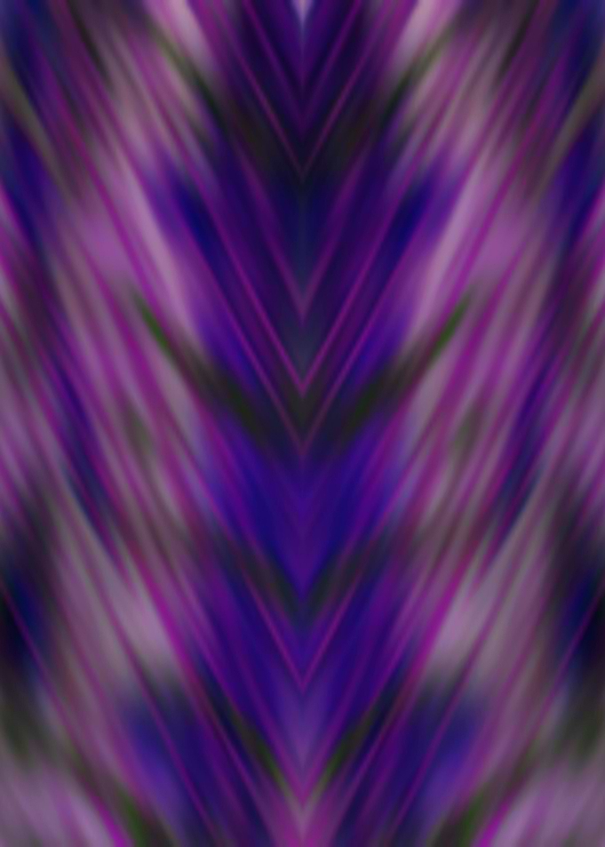 purple unidentified
