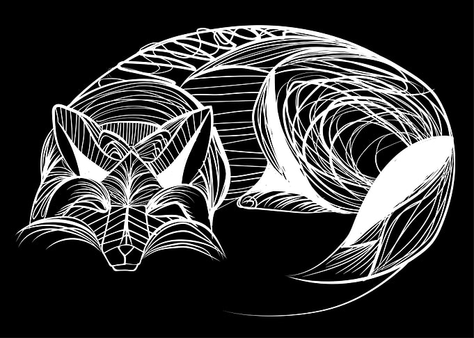 Fox sleep