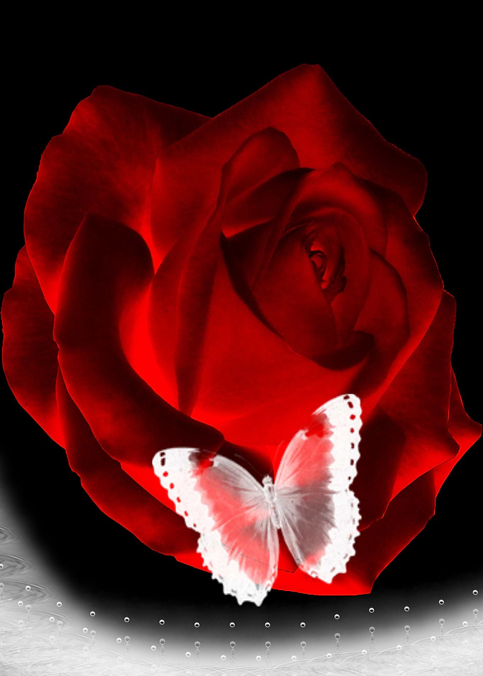 The Rose