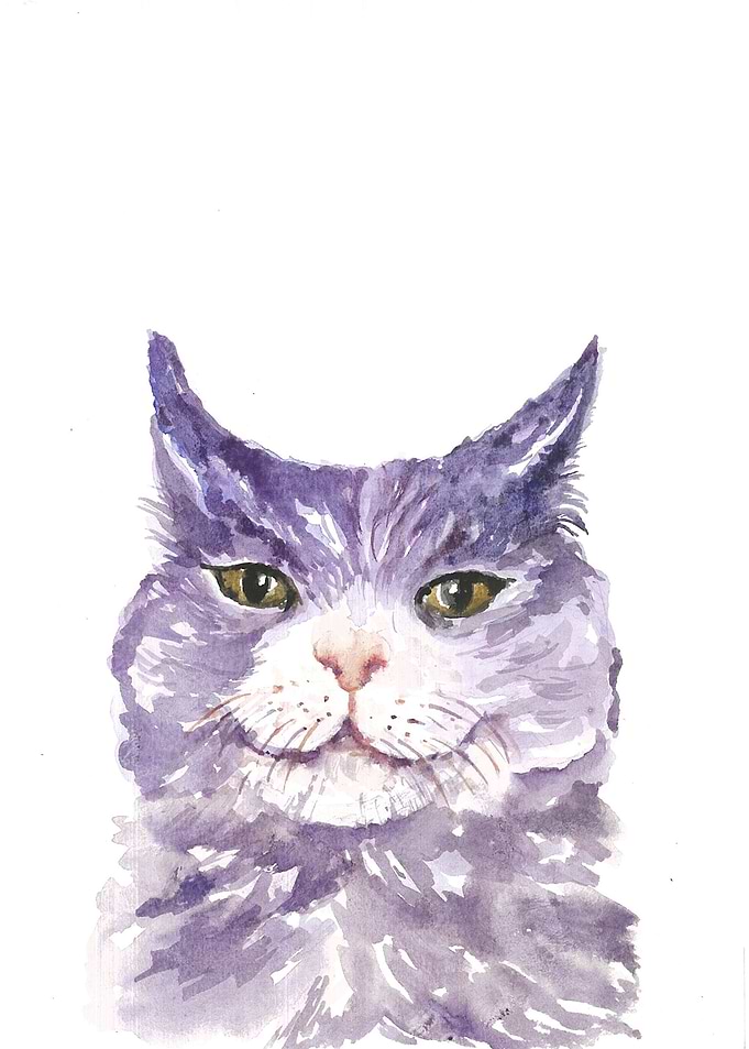 Cute Violet Cat