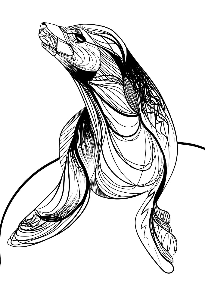 Seal