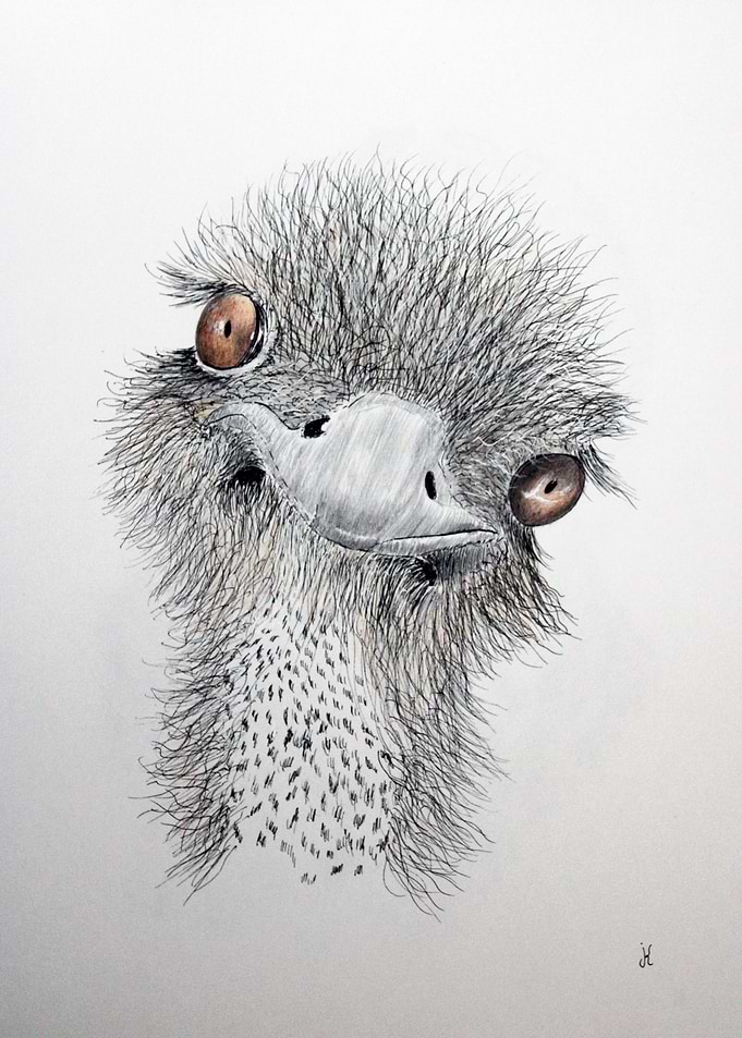 Little bird