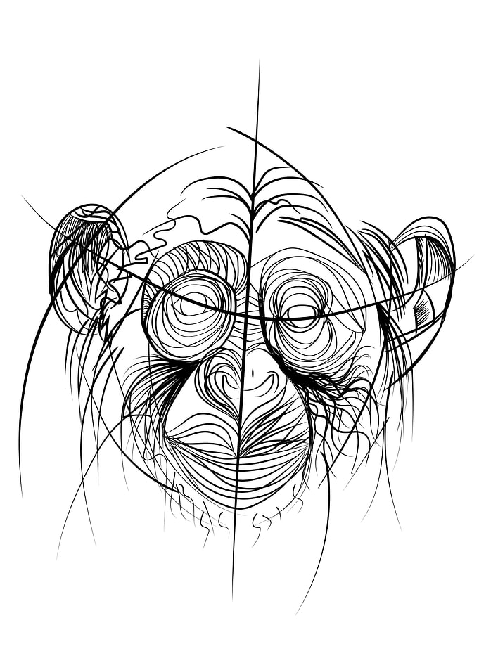 Monkey