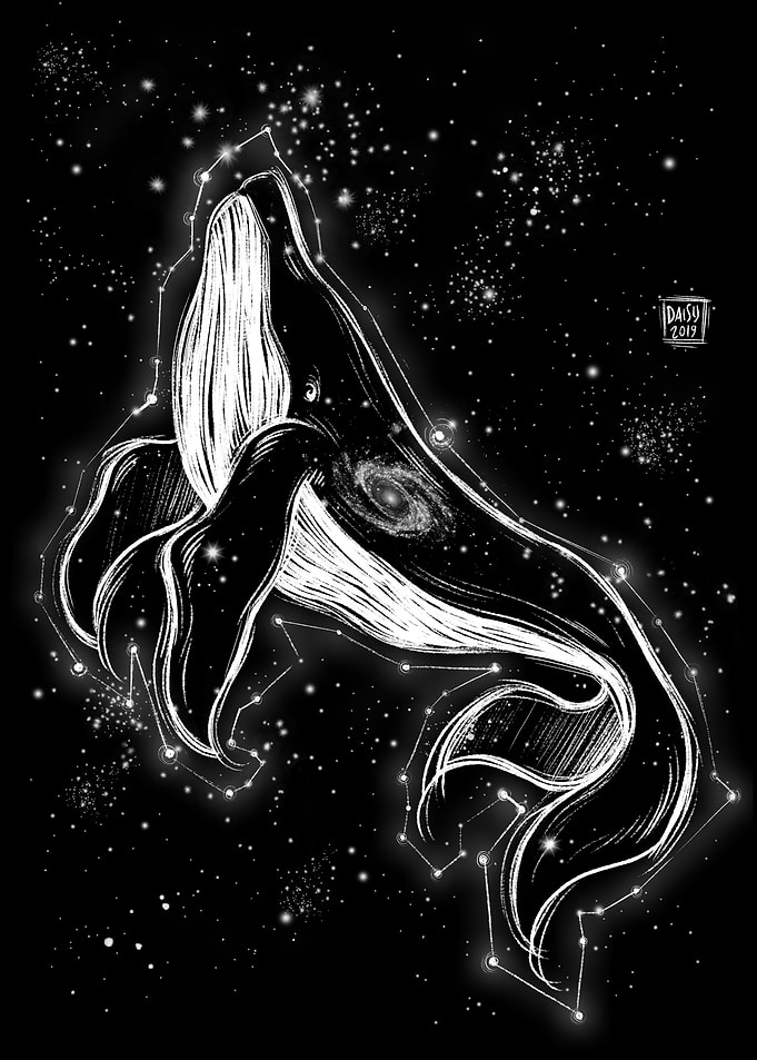 Starry whale