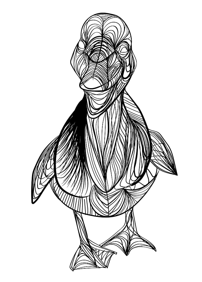 Duck
