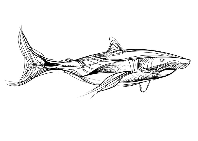 Shark