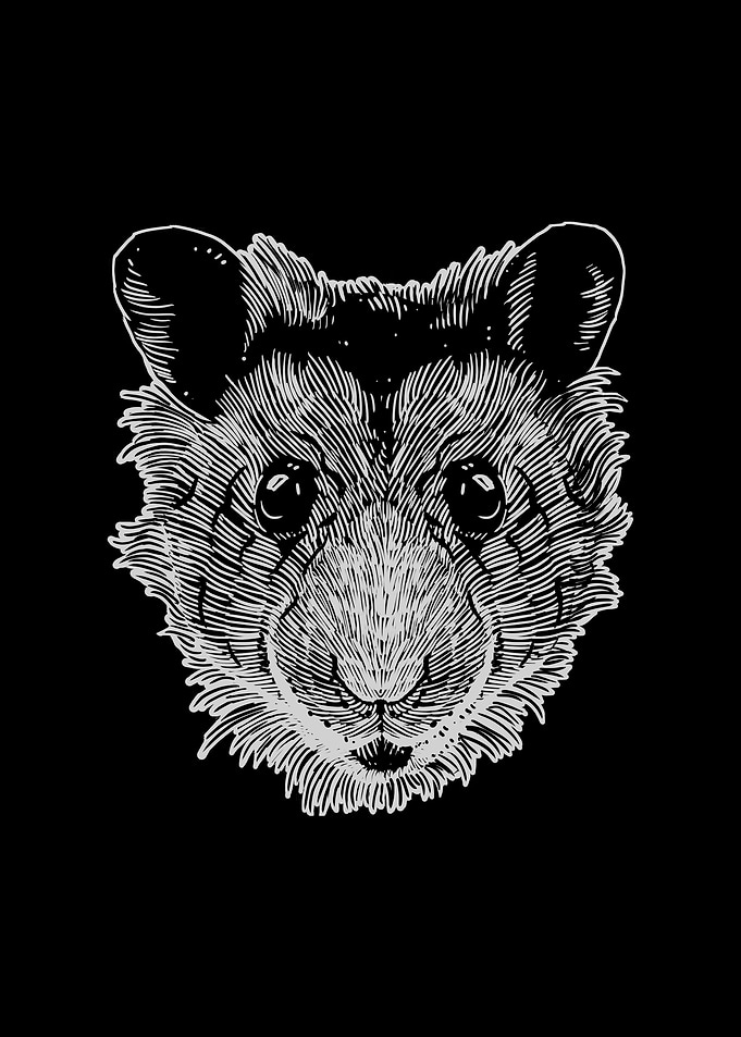 Hamster 1