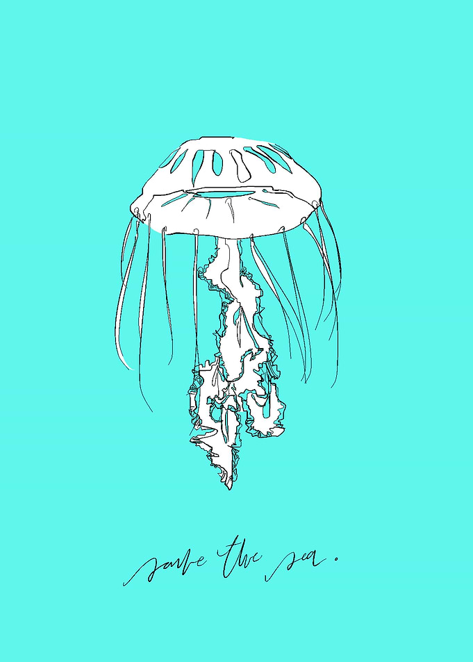 jellyfish