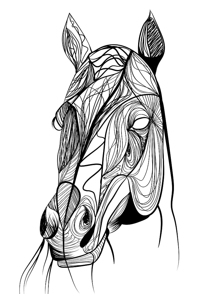 Horse