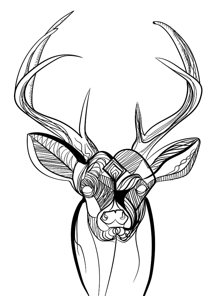 Deer