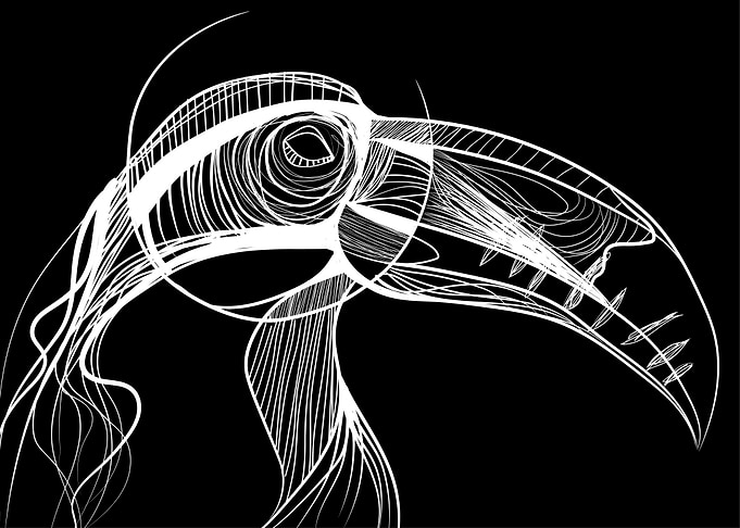Toucan
