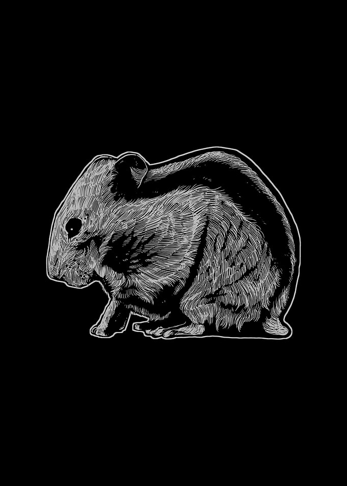 Hamster4