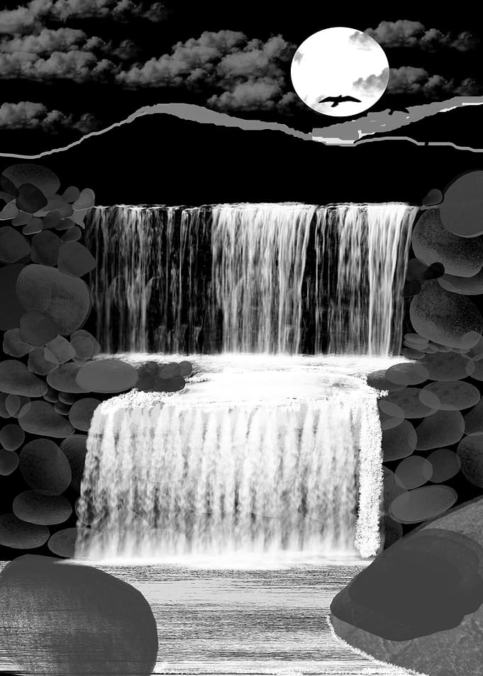 The Nature at Night