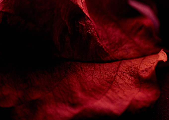 Everlasting III