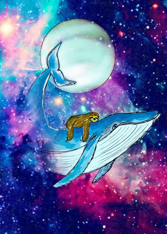 Sloth relax