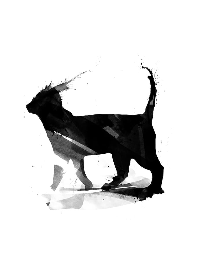 Abstract Cat 9