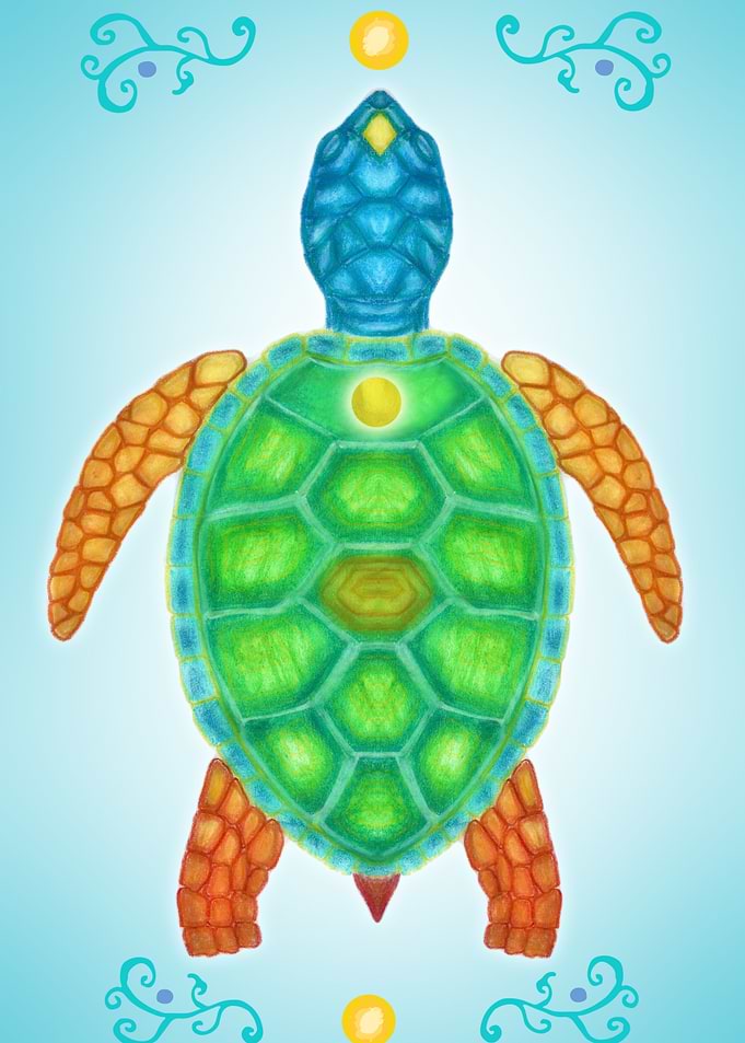 Turtle