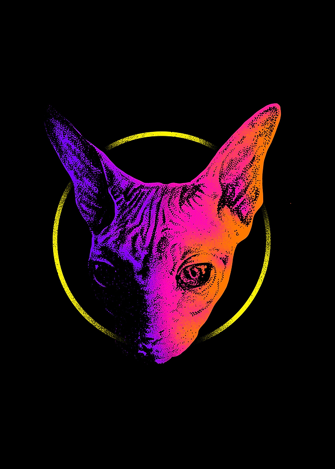 Sphynx Head