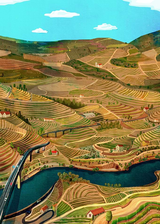 Douro Valley