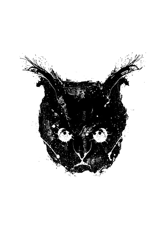 Abstract cat 13