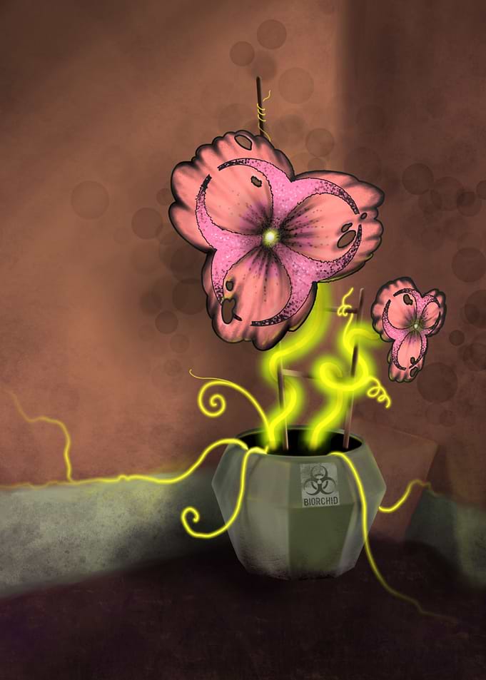 BIORCHID