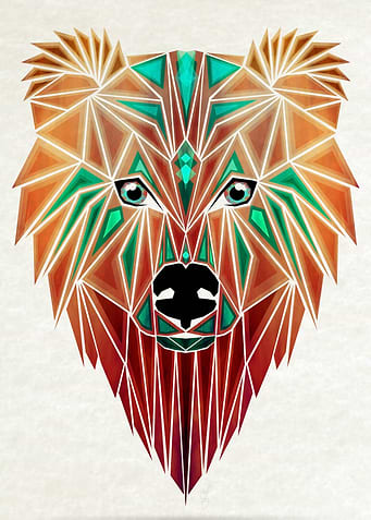 grizzly bear